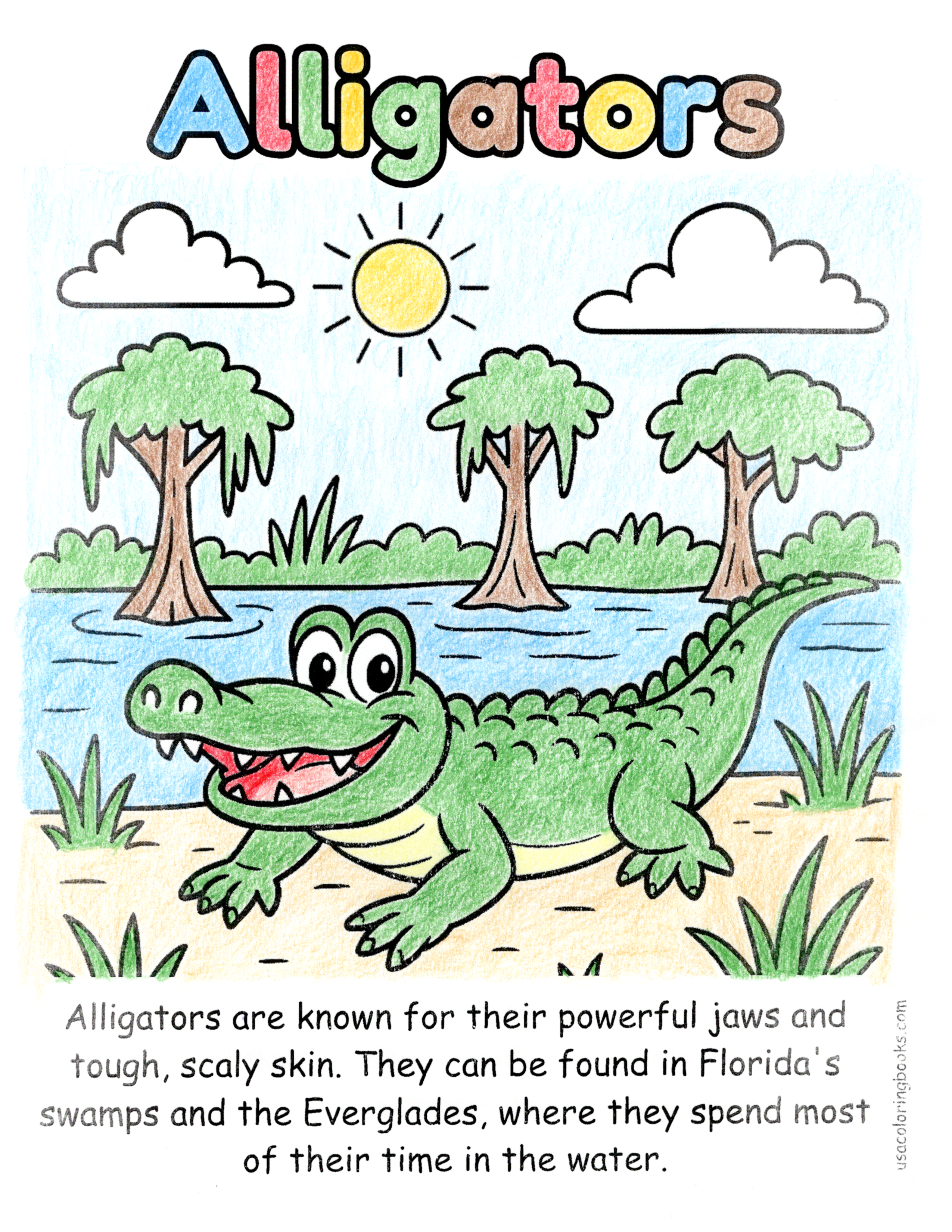 Florida Alligators coloring fun